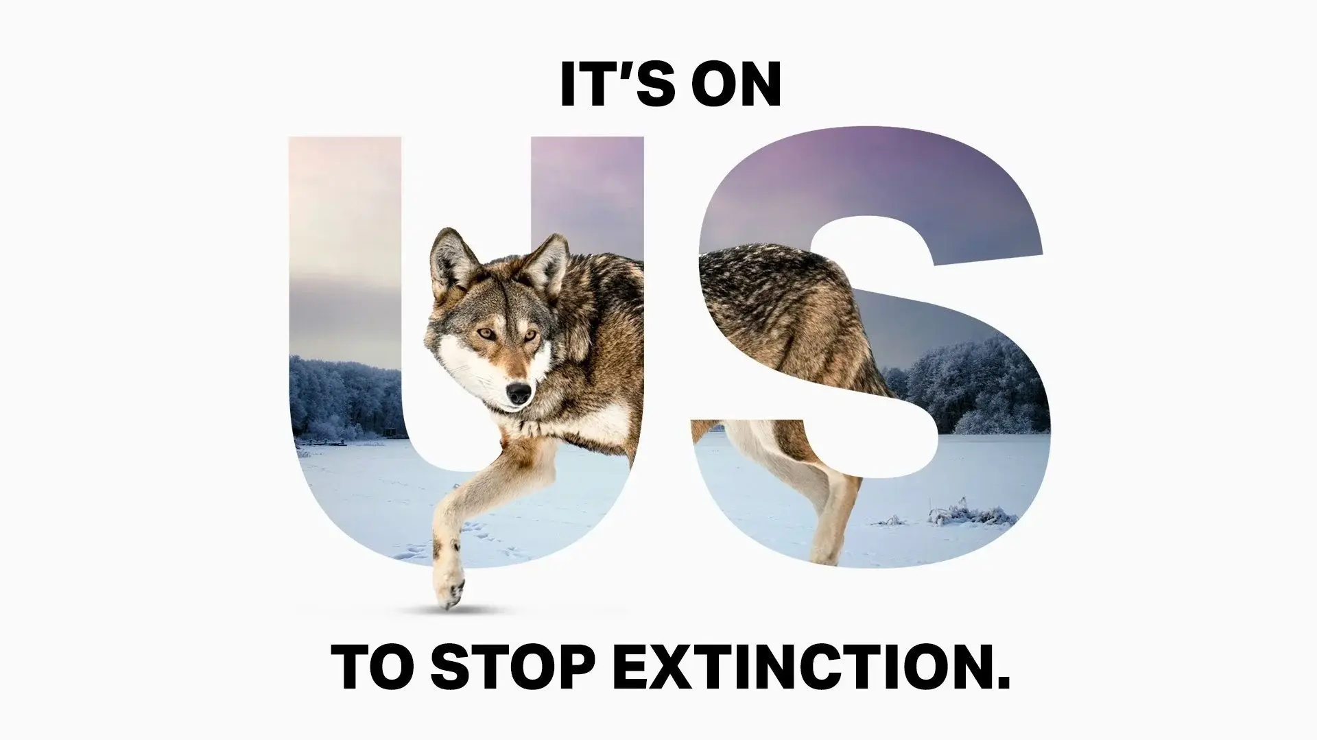 Defenders of Wildlife It’s On Us campaign
