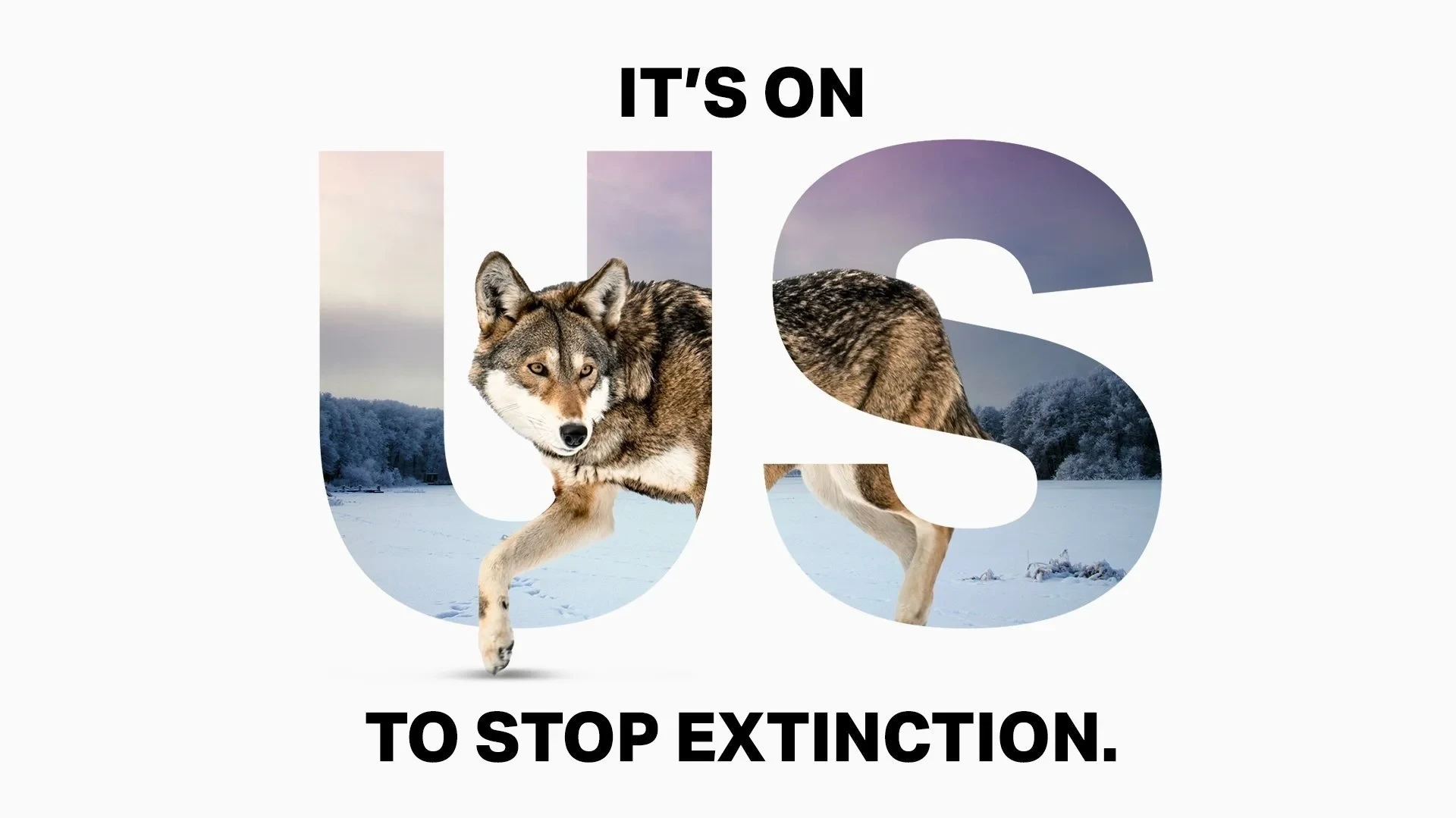 It’s On Us campaign header for Defenders of Wildlife