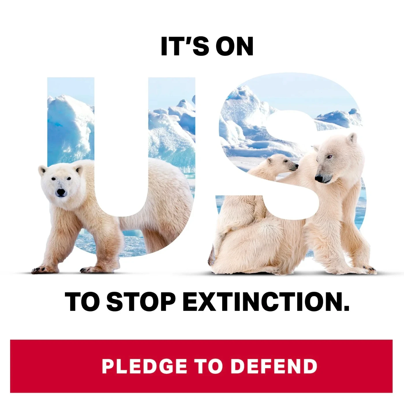 It’s On Us social post, polar bears